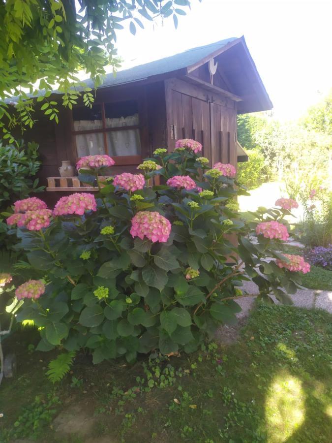 Casalserugo Al Casale B&B מראה חיצוני תמונה